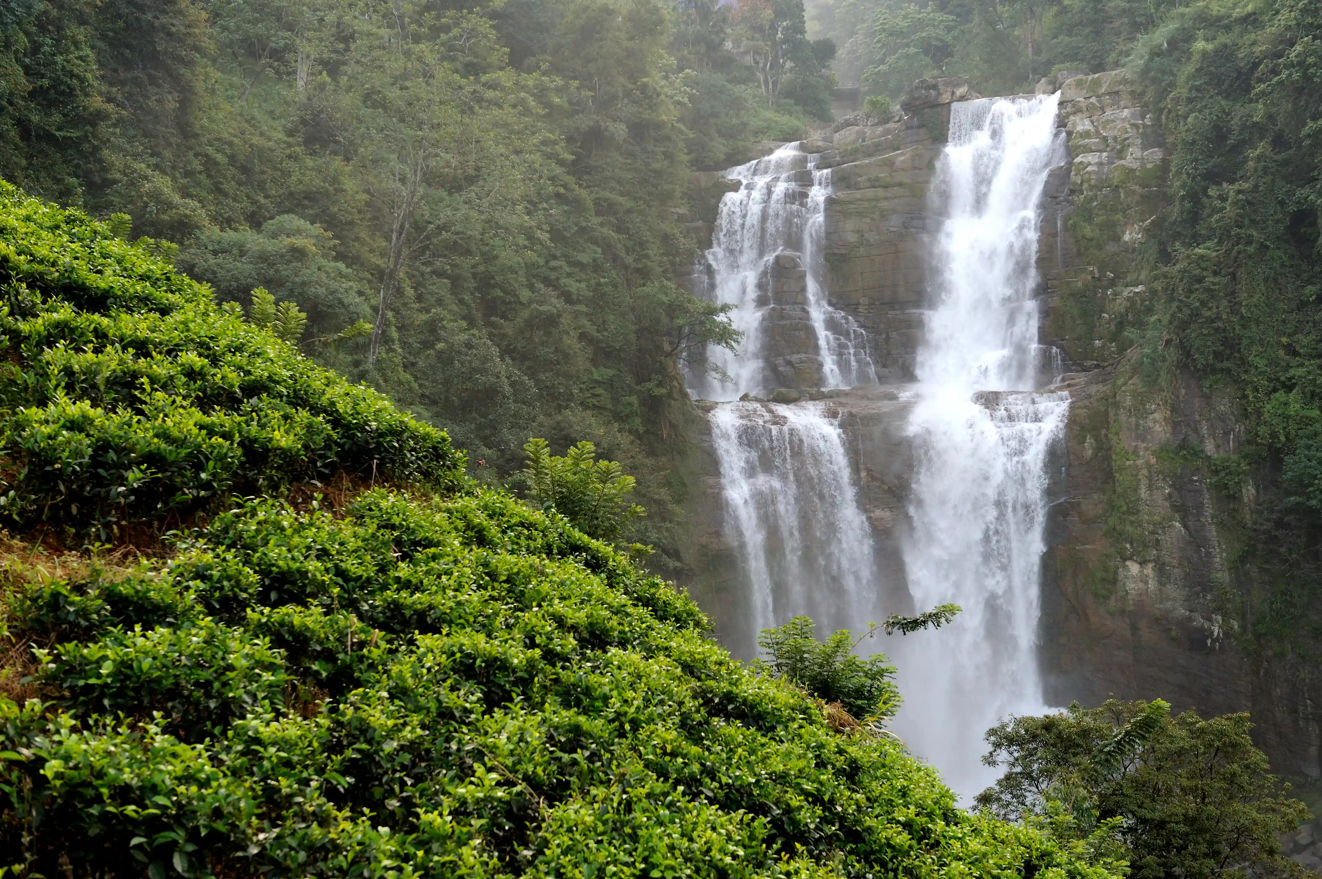 Sweet Falls & Spread Eagle Falls